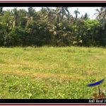 INVESTASI PROPERTY, JUAL TANAH MURAH di TABANAN TJTB246