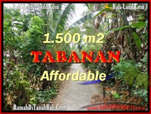 TANAH MURAH JUAL di TABANAN BALI 3,000 m2  View kebun