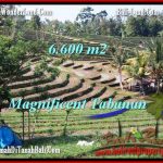 JUAL TANAH MURAH di TABANAN 66 Are View Gunung sawah dan laut