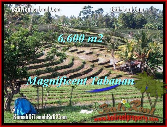 JUAL TANAH MURAH di TABANAN 66 Are View Gunung sawah dan laut