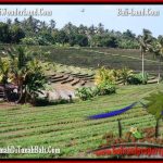 JUAL TANAH MURAH di TABANAN 66 Are View Gunung sawah dan laut