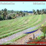 JUAL TANAH MURAH di TABANAN 66 Are View Gunung sawah dan laut