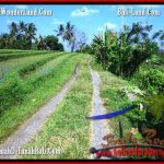 JUAL TANAH MURAH di TABANAN 66 Are View Gunung sawah dan laut