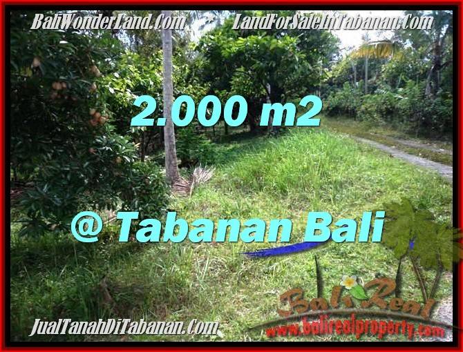 TANAH MURAH JUAL di TABANAN BALI 20 Are View Kebun