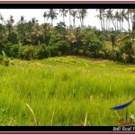 TANAH MURAH JUAL di TABANAN BALI 5,590 m2 View sawah dan laut