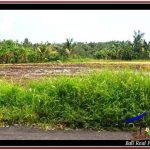 TANAH MURAH JUAL di TABANAN BALI 5,590 m2 View sawah dan laut