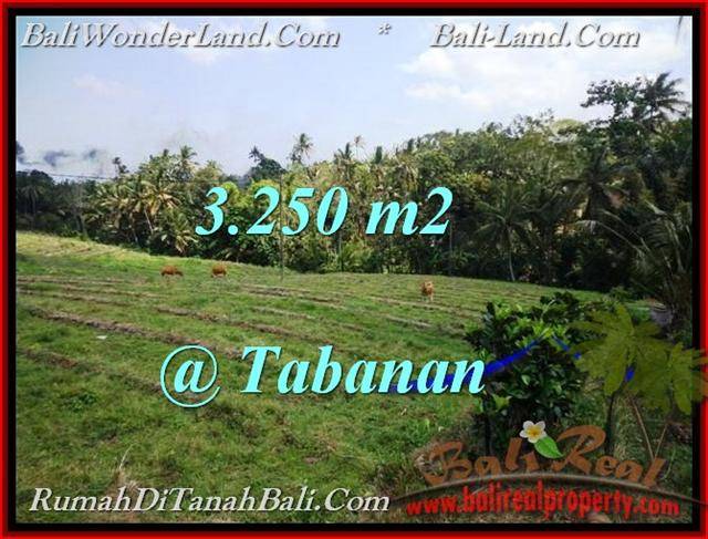 TANAH di TABANAN BALI DIJUAL MURAH Untuk INVESTASI TJTB208