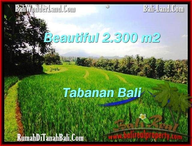 JUAL TANAH MURAH di TABANAN 2,300 m2 View Gunung dan sawah