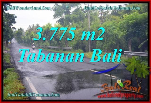 TANAH MURAH di TABANAN BALI 3,775 m2 di Tabanan Selemadeg