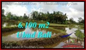 TANAH MURAH DIJUAL di UBUD Untuk INVESTASI TJUB547