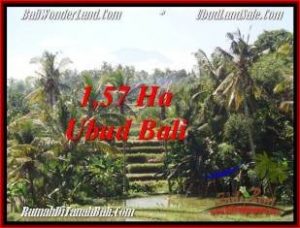 TANAH MURAH DIJUAL di UBUD BALI Untuk INVESTASI TJUB549