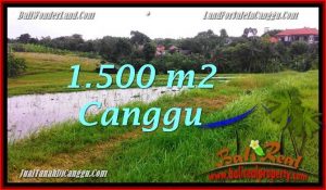 TANAH MURAH di CANGGU 1,500 m2 di Canggu Batu Bolong