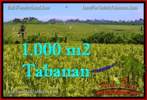 JUAL TANAH di TABANAN 10 Are View sawah, gunung