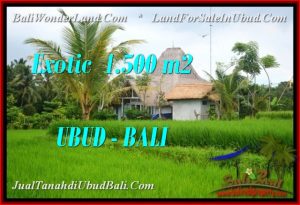 TANAH MURAH DIJUAL di UBUD TJUB541