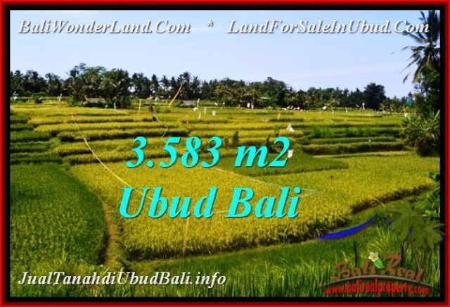 TANAH MURAH DIJUAL di UBUD BALI TJUB542