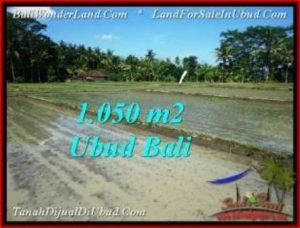 JUAL TANAH MURAH di UBUD BALI TJUB544