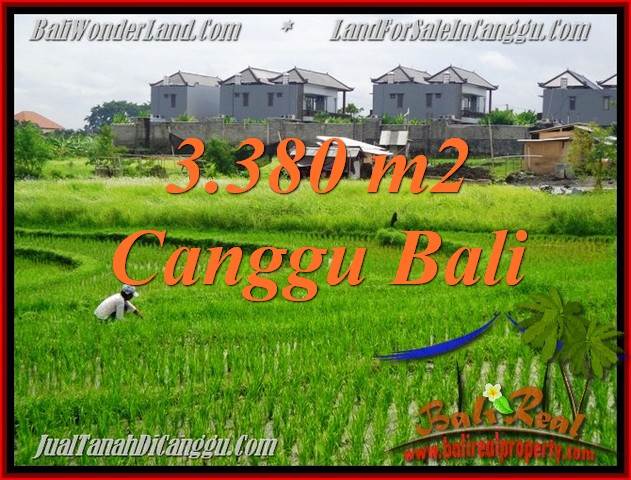 JUAL TANAH di CANGGU BALI 33.8 Are View sawah, lingkungan villa