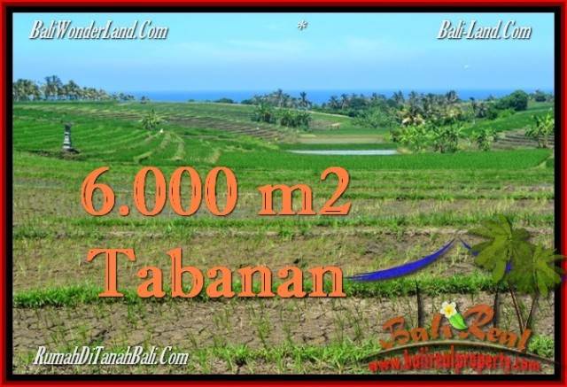 DIJUAL TANAH di TABANAN 6,000 m2 di Tabanan Selemadeg