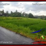 JUAL TANAH MURAH di TABANAN Untuk INVESTASI TJTB269