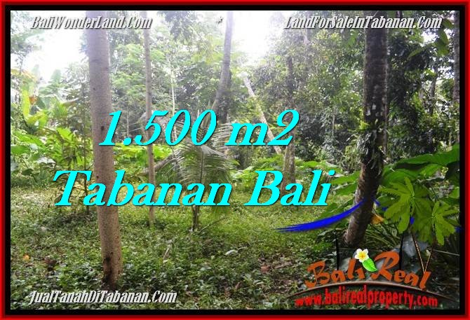 DIJUAL TANAH di TABANAN BALI TJTB279