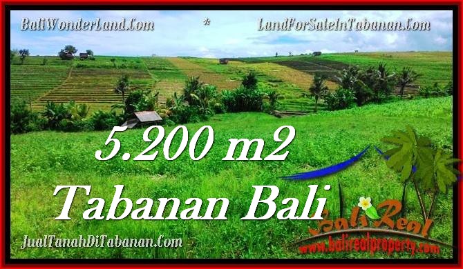 JUAL TANAH MURAH di TABANAN 52 Are di Tabanan Selemadeg