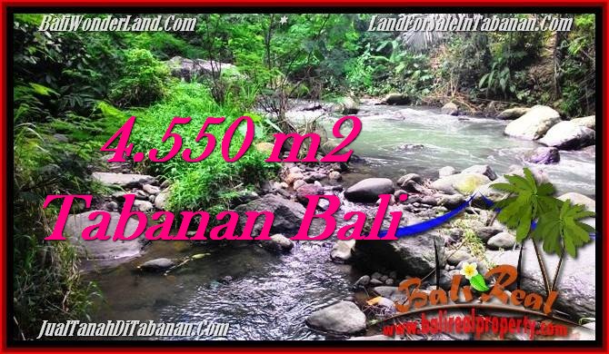 TANAH di TABANAN BALI DIJUAL MURAH 45.5 Are View kebun dan sungai