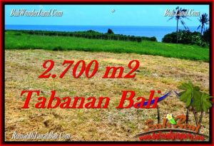 DIJUAL MURAH TANAH di TABANAN BALI 27 Are di Tabanan Selemadeg