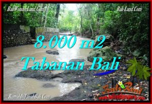 TANAH MURAH DIJUAL di TABANAN BALI 80 Are di Tabanan Selemadeg