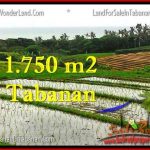 INVESTASI PROPERTY, JUAL TANAH MURAH di TABANAN TJTB264