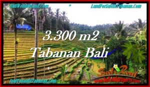 JUAL MURAH TANAH di TABANAN BALI 3,300 m2  View Sawah dan Kebun