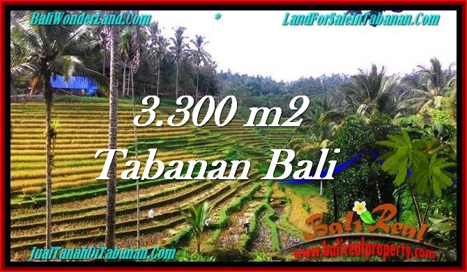 JUAL MURAH TANAH di TABANAN BALI 3,300 m2 View Sawah dan Kebun