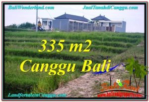 DIJUAL TANAH MURAH di CANGGU 3.35 Are di Canggu Umalas