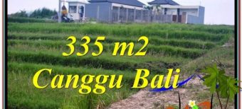 DIJUAL TANAH MURAH di CANGGU 3.35 Are di Canggu Umalas