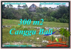 TANAH di CANGGU BALI DIJUAL 300 m2 View sawah lingkungan villa