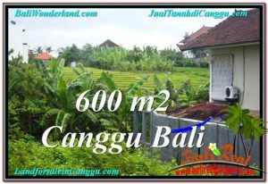 TANAH DIJUAL di CANGGU Untuk INVESTASI TJCG206