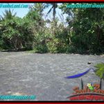 TANAH MURAH JUAL di TABANAN BALI 800 m2 Tepi Pantai ( Beachfront ) View Sawah