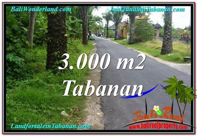 JUAL TANAH di TABANAN 30 Are View kebun