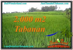 TANAH di TABANAN BALI DIJUAL MURAH 20 Are View Sawah