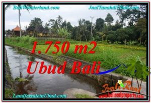 JUAL TANAH MURAH di UBUD 715 m2  View Sawah dan sungai