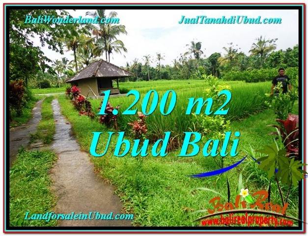 TANAH di UBUD JUAL MURAH 12 Are View sawah dan kebun