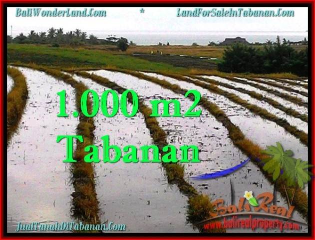 JUAL TANAH di TABANAN 10 Are View sawah, gunung dan laut