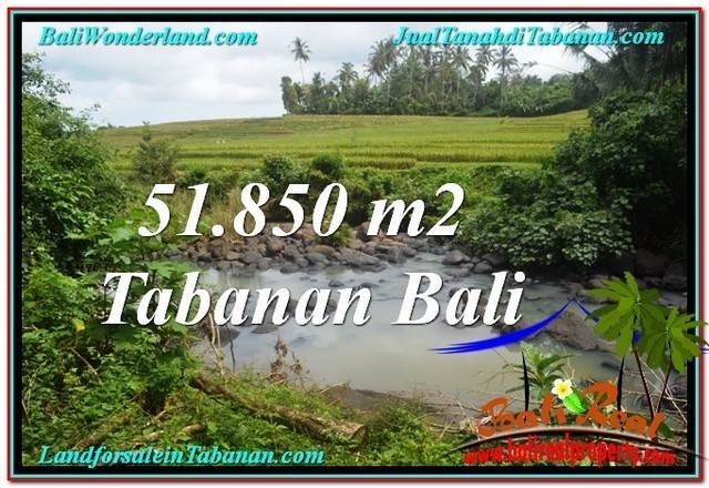 TANAH DIJUAL MURAH di TABANAN 518.5 Are di Tabanan Selemadeg