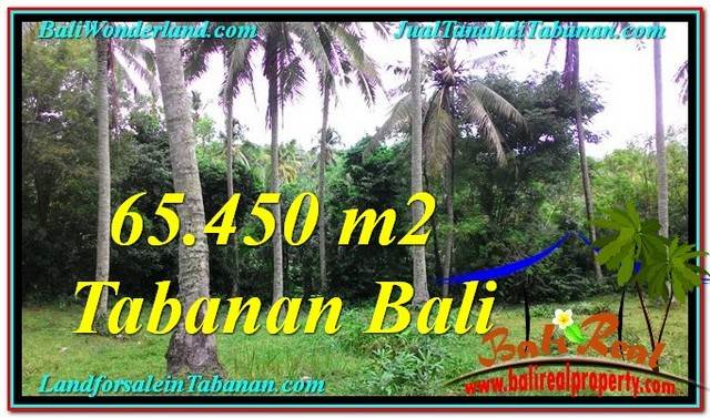 TANAH di TABANAN BALI DIJUAL MURAH 654.5 Are View laut dan sungai