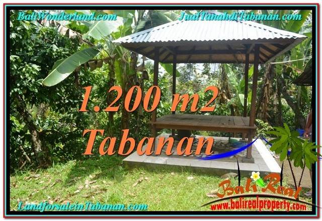 INVESTASI PROPERTY, JUAL TANAH MURAH di TABANAN BALI TJTB294