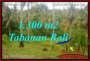 JUAL MURAH TANAH di TABANAN BALI 1,300 m2  View laut dan sawah