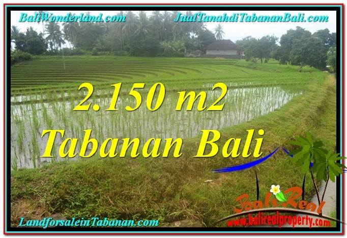 INVESTASI PROPERTY, TANAH di TABANAN DIJUAL MURAH TJTB312