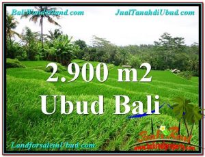 INVESTASI PROPERTY, TANAH MURAH di UBUD BALI TJUB564