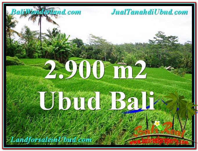 INVESTASI PROPERTY, TANAH MURAH di UBUD BALI TJUB564