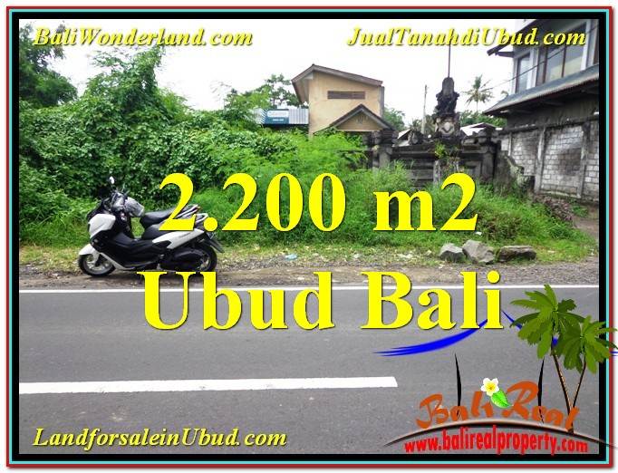 TANAH di UBUD BALI DIJUAL MURAH TJUB565