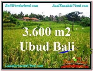 JUAL TANAH di UBUD BALI 3,600 m2  View sawah link Villa dan Restorant